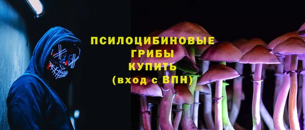 PSILOCYBIN Белоозёрский