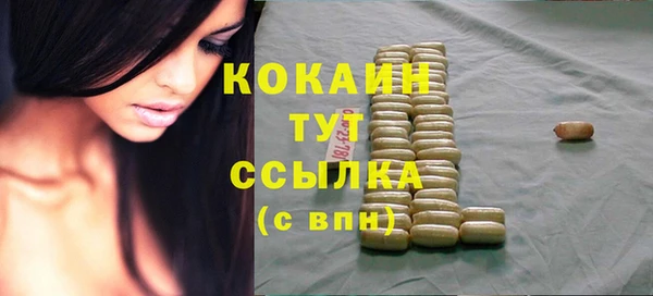 стаф Белокуриха