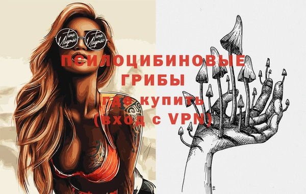 гашик Беломорск