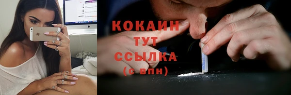 стаф Белокуриха