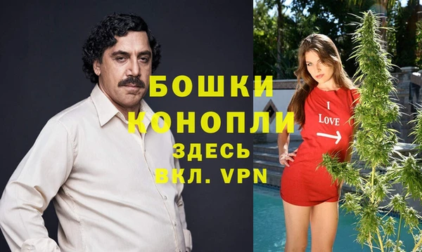 стаф Белокуриха