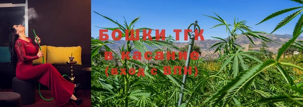 стаф Белокуриха
