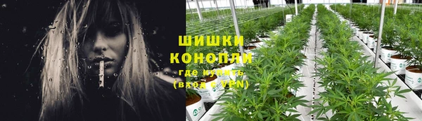 PSILOCYBIN Белоозёрский