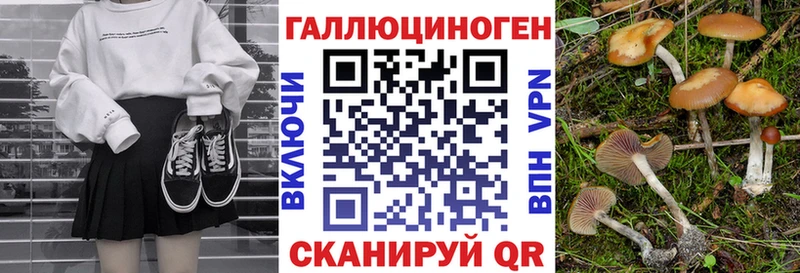 дарнет шоп  Минеральные Воды  мега ONION  Псилоцибиновые грибы Psilocybe 
