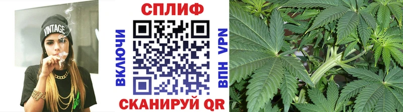 Каннабис Bruce Banner  hydra tor  Минеральные Воды 