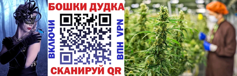 Бошки Шишки план Минеральные Воды